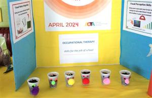 Students planting projects on display